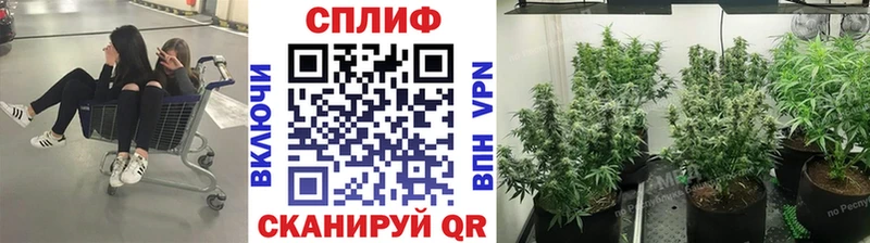 Как найти наркотики Пролетарск A PVP  Кокаин  Гашиш  Мефедрон  Галлюциногенные грибы  Бошки Шишки  АМФ 