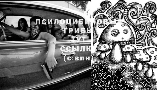 mdpv Михайлов